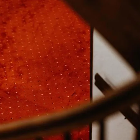 Waldhotel Seefeld Hotel