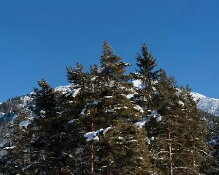 Waldhotel Seefeld 3* Seefeld in Tirol