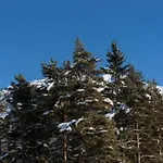 Waldhotel Seefeld 3* ゼーフェルト・イン・チロル