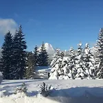Waldhotel Seefeld ゼーフェルト・イン・チロル