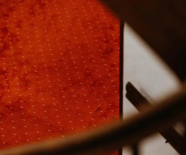 Waldhotel Seefeld Готель