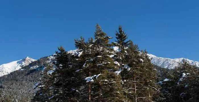 Waldhotel Seefeld 3* Зефельд-ін-Тіроль