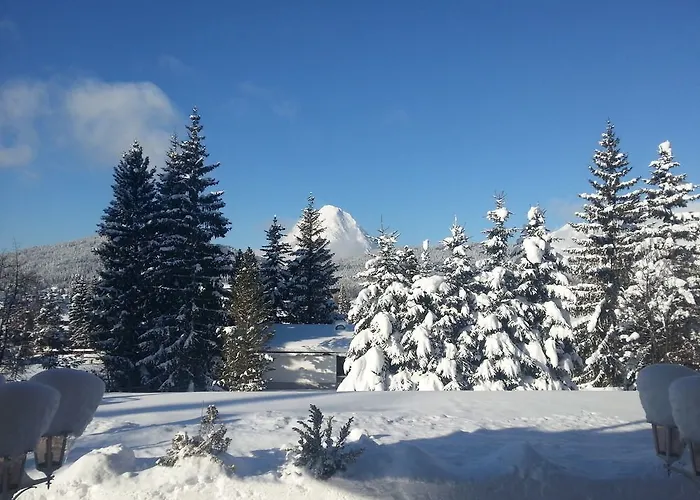 Waldhotel Seefeld Зефельд-ін-Тіроль